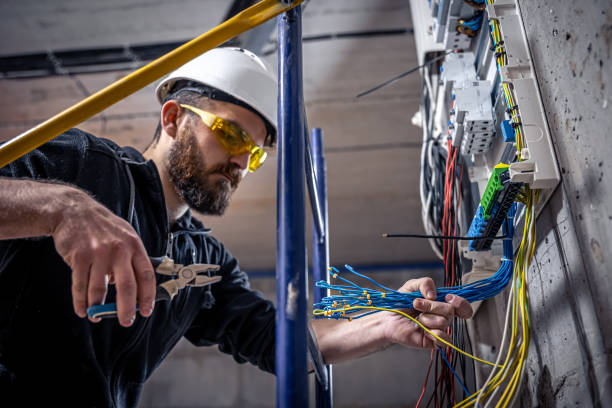 Best Electrician for Home Renovation  in Bull Valley, IL