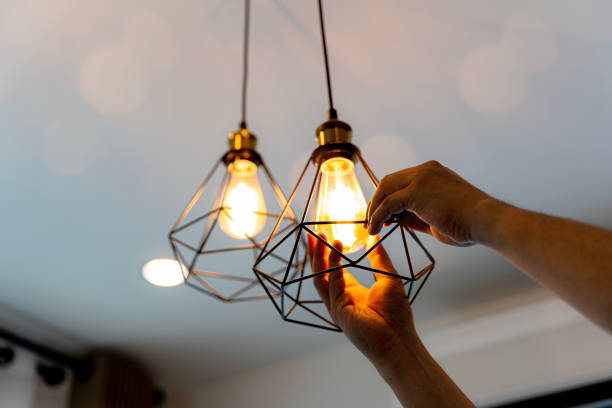 Best Electrical Contractors for Businesses  in Bull Valley, IL